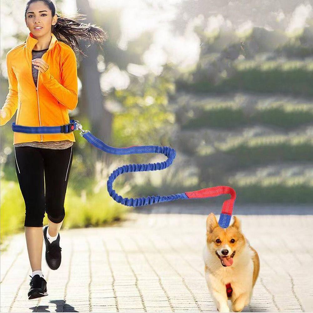Double Stretch Pet Walking Leash Waist Belt Elastic Running Dog Leash Reflective Hand Free Dog Leash for Dogs Cats