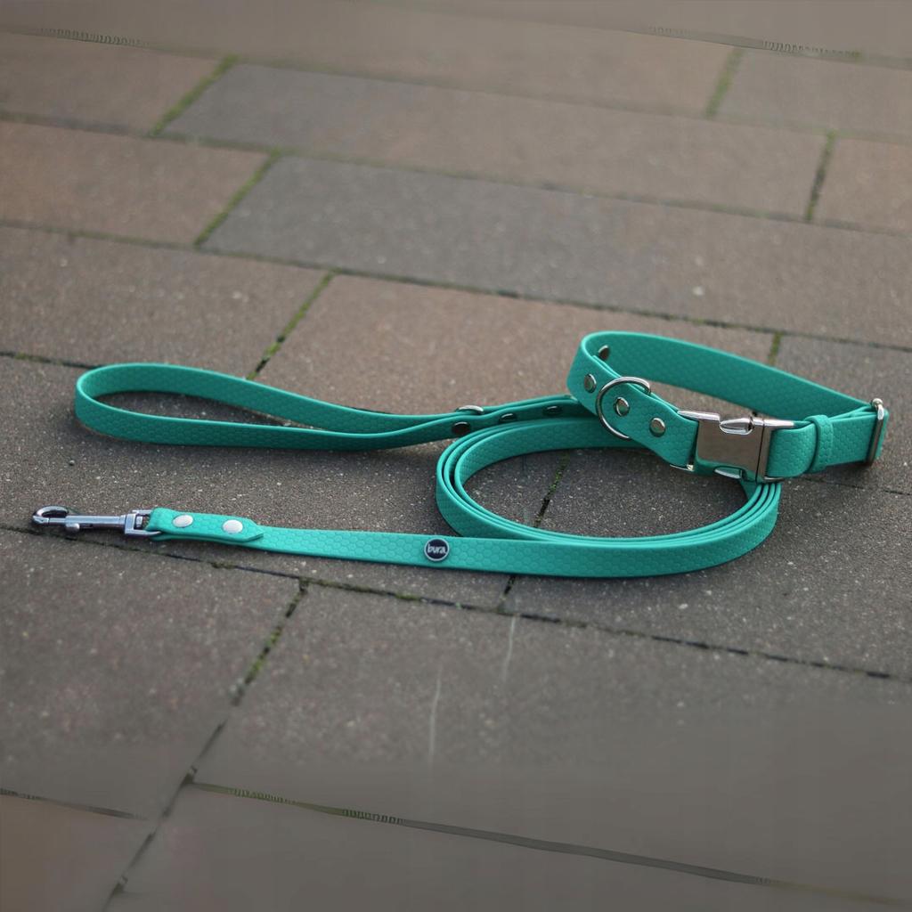 Hexa City Dog Leash, Width , S, /Phthalo