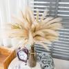 Fake Reed Grass Long-lasting Fade-resistant Realistic Artificial Pampas Grass for Home Wedding Decoration