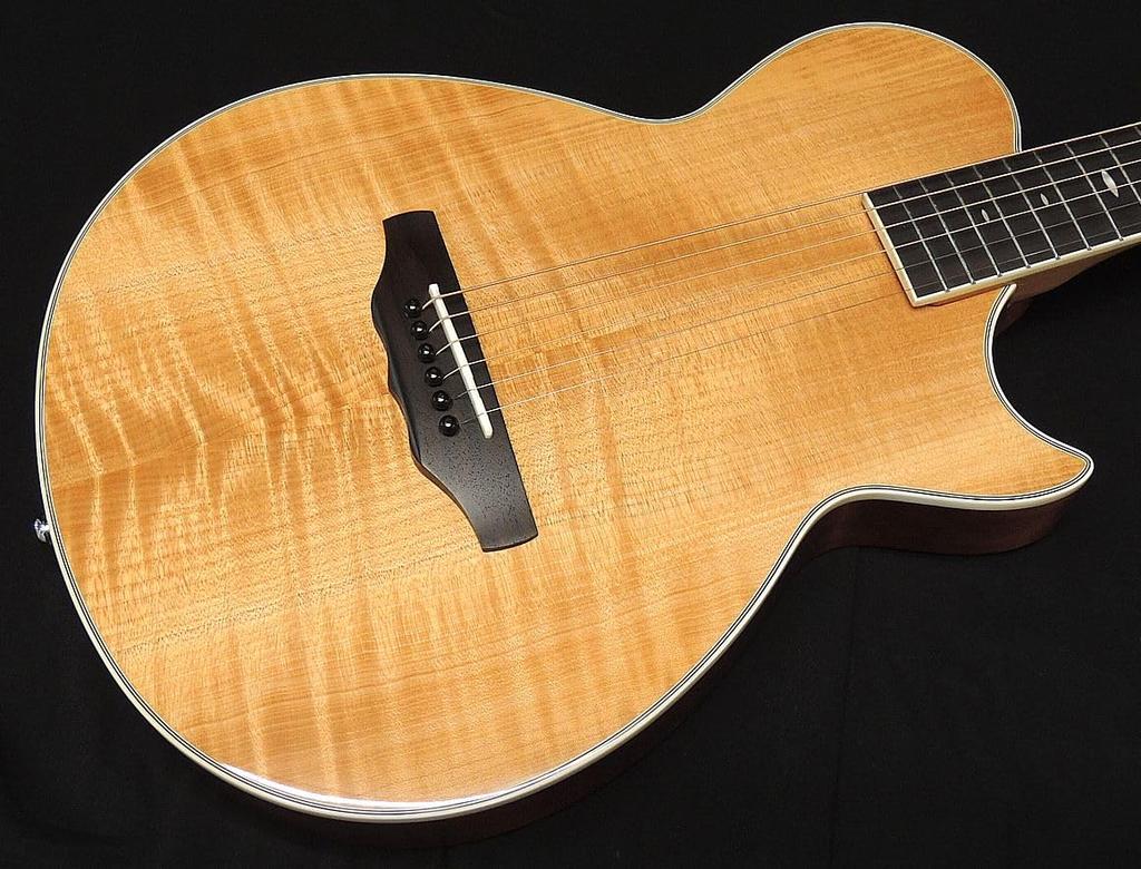 ARIA N Thin Body Electric Acoustic Guitar Side Sound Hole Fishman Natural APE-100