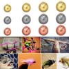 20 шт. Красиво оформленный материал для вязания мушек Слот из вольфрамового сплава Капля-бусина Вольфрамовые бусины Нахлыстовая рыбалка