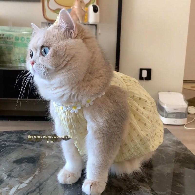 Юбка-кошечка весна/лето: Платье с градиентом против выпадения шерсти для кошек и щенков