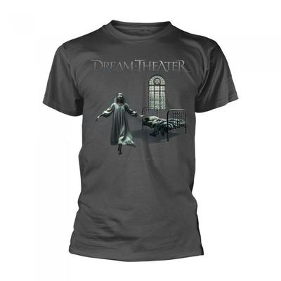 Dream Theater Унисекс Взрослая Футболка Парасомния
