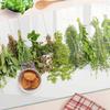 Glass Kitchen Serving Board with Herb String Graphics 80x52 cm