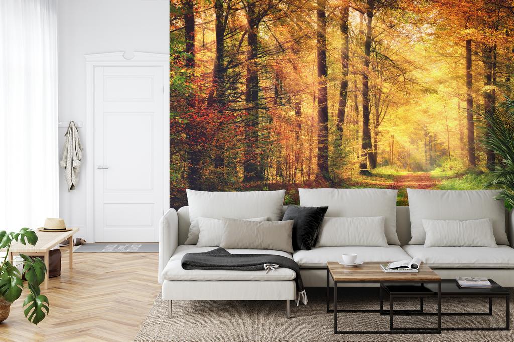 Photomural Forest Autumn Colors Self-Adhesive Mural 270x180