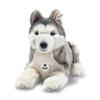 Steiff Barney the Husky 33cm 067891