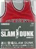SLAM DUNK Демо DVD