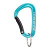 Mammut Mammut Mini Carabiner Classic Keylock S Blue Free 2810-00300-5018 5018