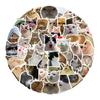 50Pcs Cute Cats Animal Stickers Waterproof PVC Stickers for Laptop, Skateboard, Water Bottles, Phone Gift for Kids