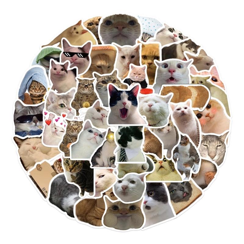 50 шт. Милые котики, наклейки с животными, водонепроницаемые ПВХ наклейки для ноутбука, скейтборда, бутылок для воды, телефона, подарок для детей