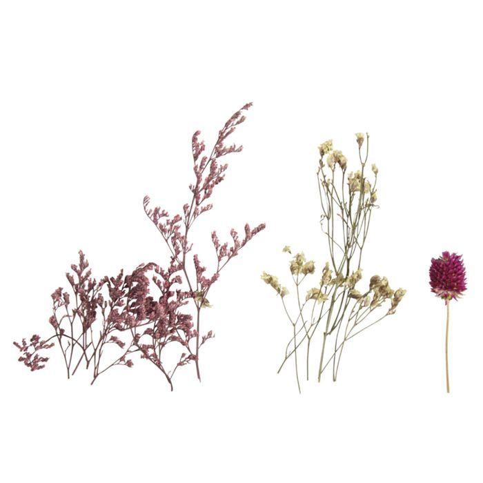 Bouquet de minis fleurs séchées roses