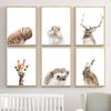 Nordic Squirrel Owl Giraffe Art Wall Poster Hedgehog Rabbit Hamster Mural Children's Room Home Decoration Cuadros Decorativos