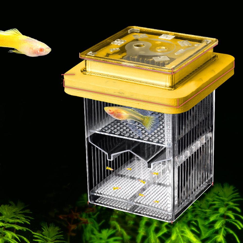 Permeable Floating Hatching Box Transparent Fish Tank Divider Mother Fish Incubator  For Small Fish
