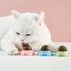Yousheng Игрушка с кошачьей мятой Настенная для стачивания зубов Креативные игрушки-шарики с кошачьей мятой для кошек Товары для домашних животных