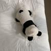 New Autumn Winter Panda Dog Cat Clothes, Warm Padded Coat, Puppy Costume for Small Medium Dogs, Poodle, Yorkie
