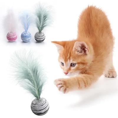 Игрушка для кошек Мяч Перо Забавная игрушка для кошек Звездный Мяч Плюс Перо Пенопластовый Мяч Метательные Игрушки Интерактивные Мягкие Игрушки Игрушки Для Котят Товары Для Домашних Животных