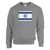Толстовка - PIXELFORMA - Drapeau d'Israël - Gris - Manches longues - Col classique