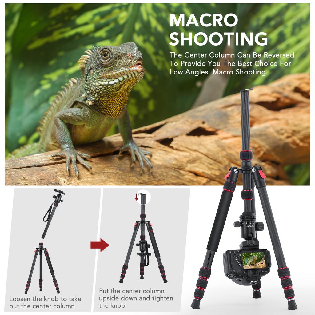 Andoer TTT-008 200cm/78.7in Adjustable Carbon Fiber Camera Tripod Stand Monopod 12KG Payload with