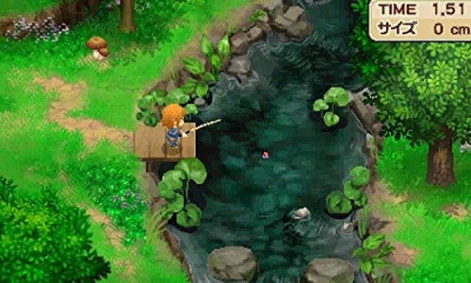Story of Seasons The Tale of Two Towns+ для Nintendo 3DS - Импорт из Японии / Приключенческая игра-симулятор фермерства