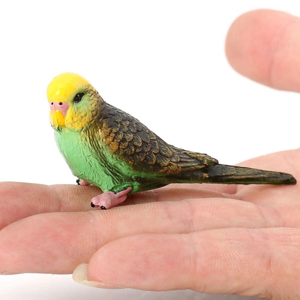 Educational Simulated Budgie Parrot Miniatures Budgerigar Toy Parrot Ornament Living Room