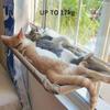 1pc-Window Hanger Cat Hammock Washable Detachable Pet Bed Suction Shelf Bag Beds Seat For Cat Sleeping Pet Supplies