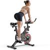 Formill QK101 Magnetic Exercise Bike - Quiet Belt Drive, 5-Level Adjustable, LCD Display, Home Fitness Cycle for Indoor Cycling