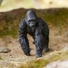 Фигурка SCHLEICH Wildlife Gorilla 14770 (мужчина)