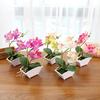 Durable Artificial Butterfly Orchid Vivid Vivid Color Realistic