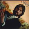 Виниловая пластинка DAN FOGELBERG Greatest Hits QE38308 FULL MOON 1982 США Рок Б/у