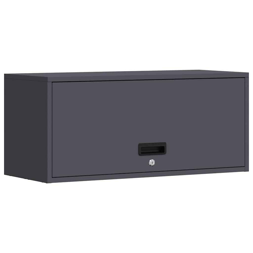 Wall Mounted Garage Cabinet with Gas Spring Door Anthracite