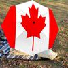 1pc Canada Flag Automatic Open/Close Umbrella with Windproof, 8-Rib Sturdy Canopy, Durable Ribs, Fashionable Design1161A