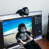 Плюшевый брелок-шимпанзе, плюшевая игрушка-горилла, декор для рюкзака, милый мультяшный набивной плюшевый кулон, подарок для мужчин, шарм для сумки