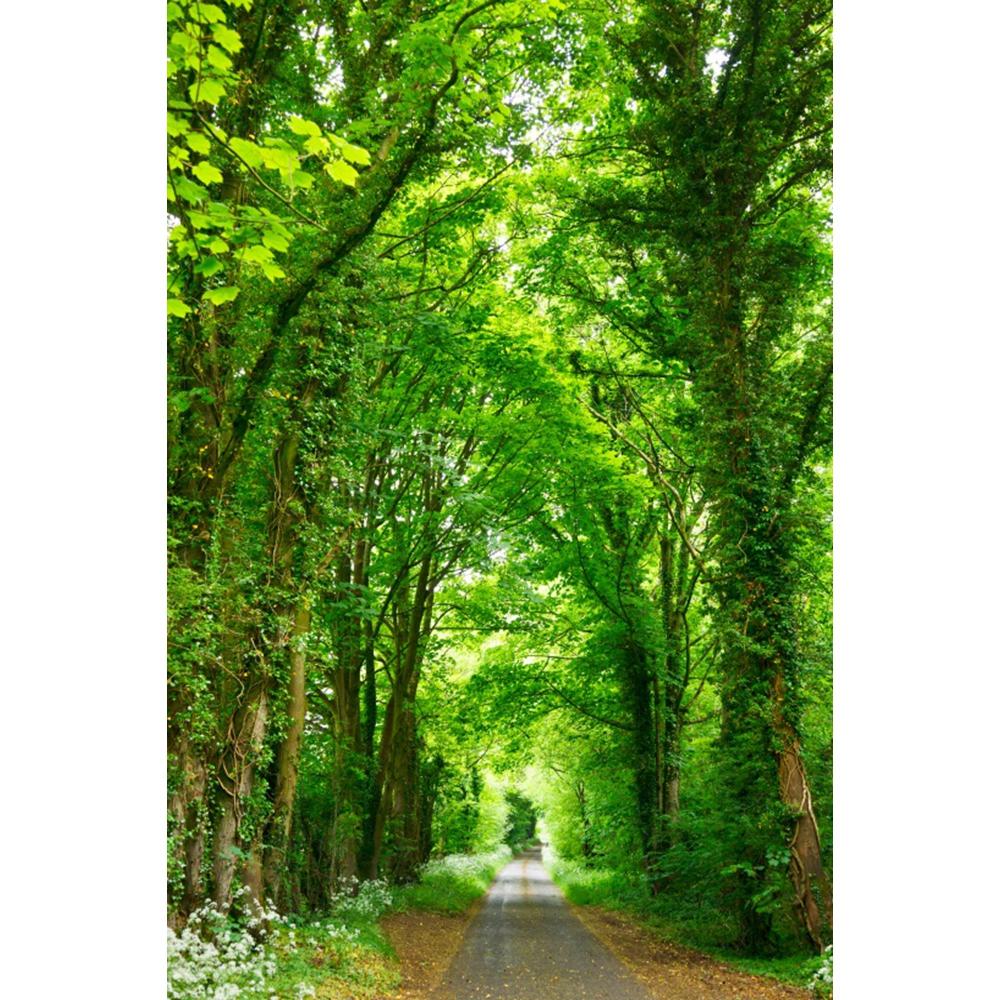 Spring Natural Scenery Forest Photography Backdrop Tropical Jungle Green Forest Tree Adventure Baby Portrait Photo Background