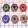Exquisite Large Crystal Rhinestone Luxury Glass Brooch High -End Clothing Accessories Brooch