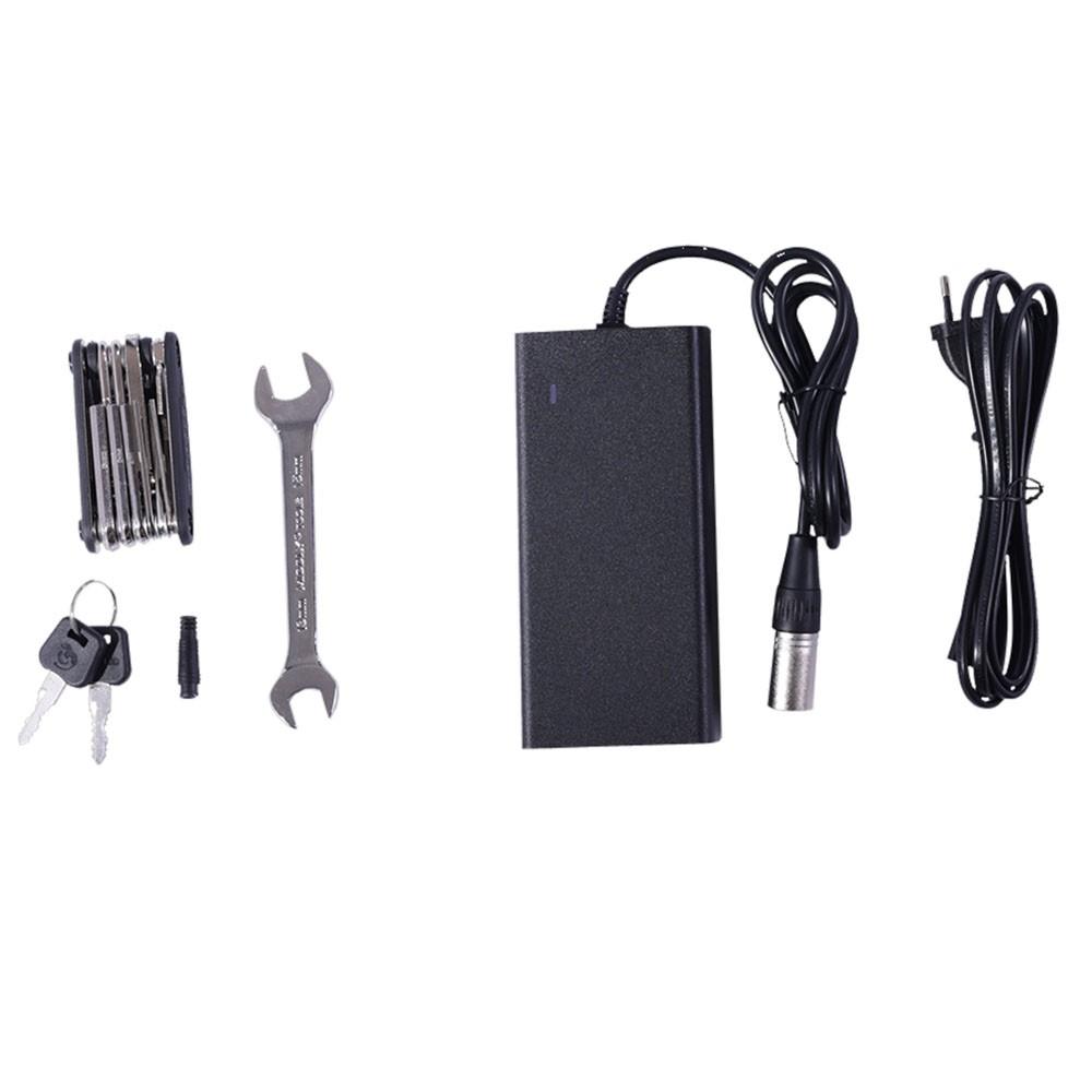 GOGOBEST GF200 Electric Bike, 500W Motor, 48V 15.6Ah Battery, 20*3.0 inch Tires, 45km/h Max Speed