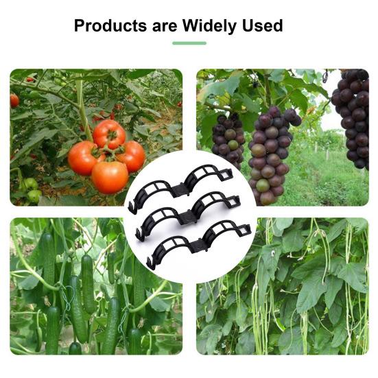50/100 шт. зажимы для растений, простые в использовании пластиковые зажимы для поддержки растений, прозрачные зажимы для томатов, полый дизайн, зажим для поддержки стебля