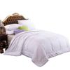 Beyond Kids Winter Mulberry Silk Duvet