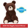 GUND Finley Bear 6055962