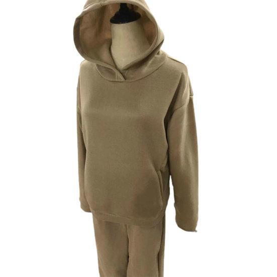 Женский зимний осенний спортивный костюм, комплект брюк, костюм с капюшоном, однотонный, свободный, мягкий, повседневный, теплый, с эластичной резинкой на талии