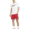 Nike Баскетбольные шорты мужские University Red DQ5720-657