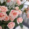 66Cm Artificial Bubble Roses Branches Silk Fake Flower Living Room Decoration Light Luxury Simulation Rose Orange Flowers