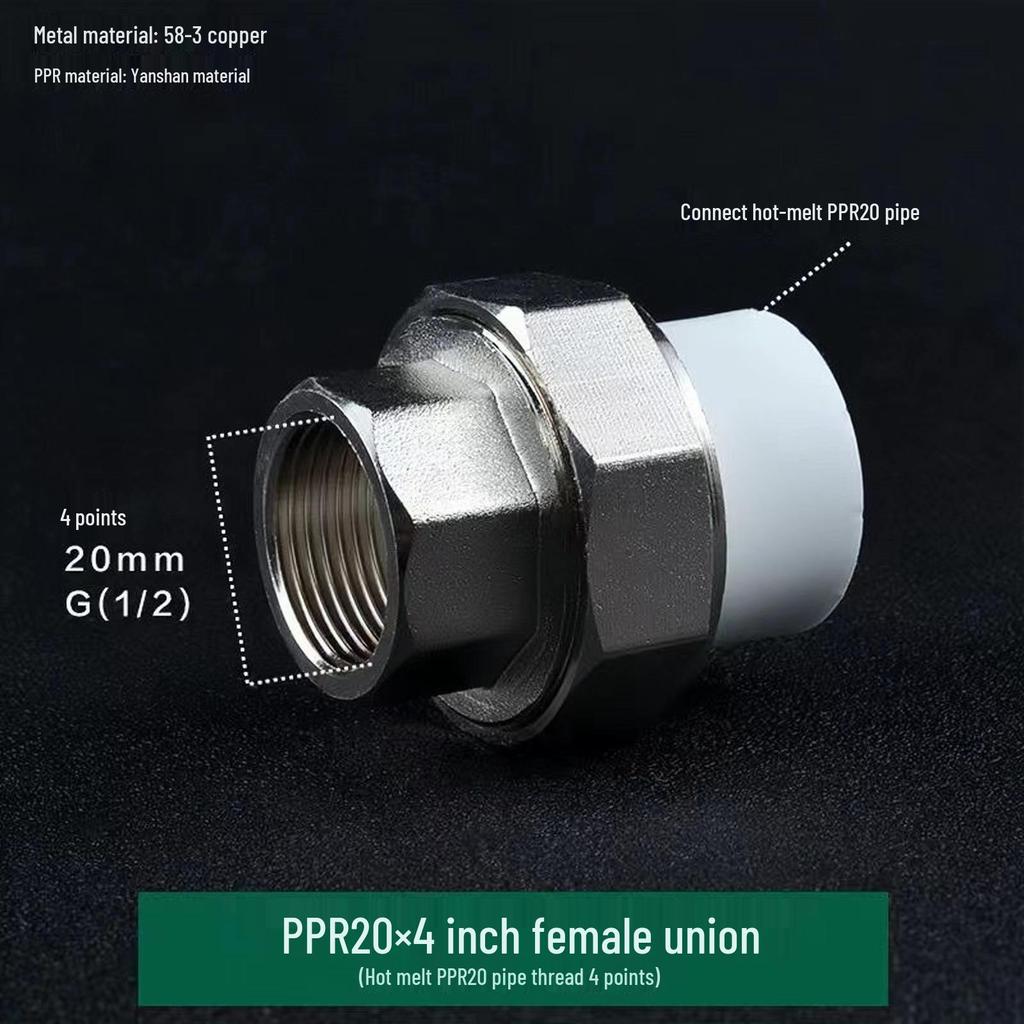 PPR Медно-чугунная муфта, внутренняя и наружная резьба, 20-110 мм, двухсторонняя PPR чугунная муфта