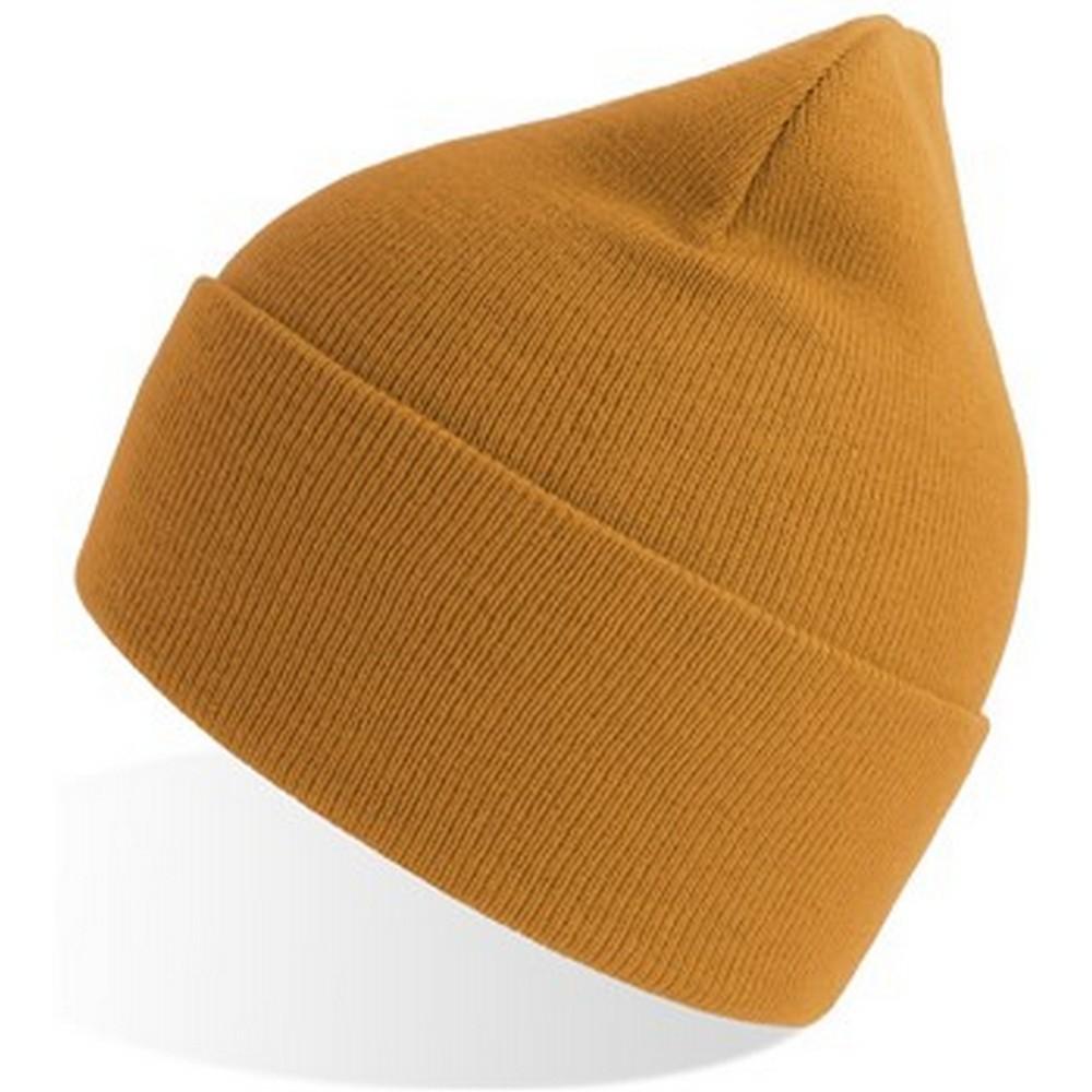 Atlantis Unisex Adult Pure Recycled Beanie