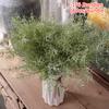 1/6 Bundles Floral Arrangement Weddings Simulation Baisi Grass Elegant PVC Bohemian Artificial Pampas Grass Bouquet Christmas