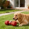 Пищащий мячик для собаки Игрушка для щенков при прорезывании зубов Игрушка-мячик для жевания собаки с выпуклой поверхностью Интерактивная игрушка для собак Тренировки на улице Очистка зубов