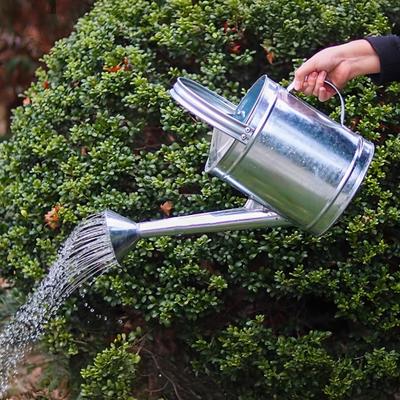 5/7/10/15 л Лейка из нержавеющей стали для цветов Большой вместимости Легкая металлическая лейка с длинным носиком Садовая лейка для цветов