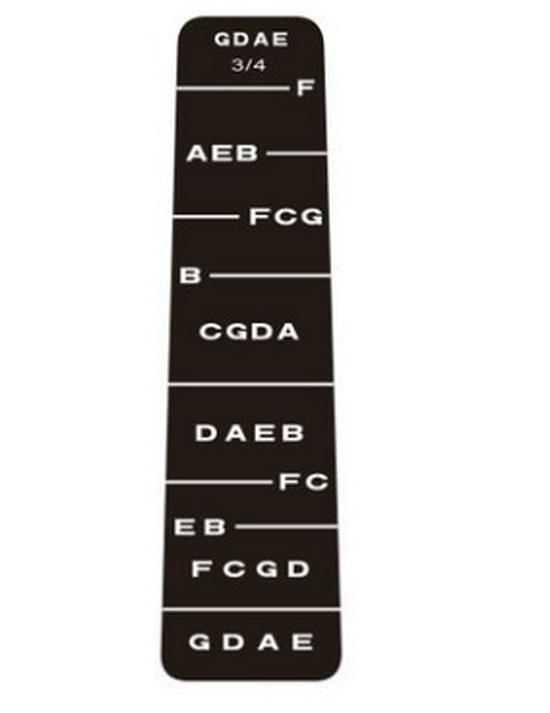 Violin Fingerboard Scale Chart Stickers - Convenient & Easy to Use