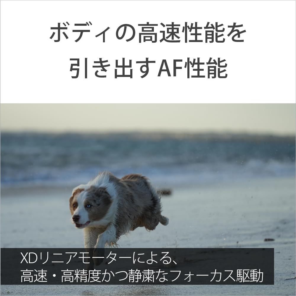 Sony Telephoto Zoom Lens Full Size FE F4 Macro G OSSII G Lens for Digital Single Lens Camera Genuine Lens SEL70200G2 70-20mm [E Mount]