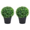VidaXL Artificial Boxwood Plants 2 Pcs with Pots Ball Green 32 Cm