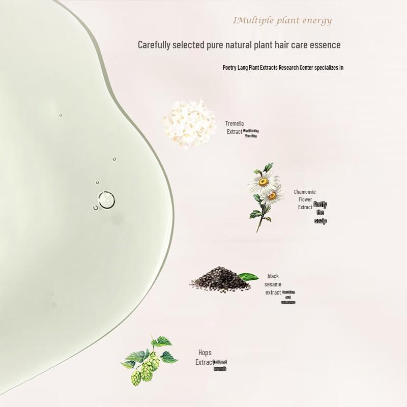 Shilang Ginger Anti-Dandruff Shampoo & Cherry Blossom Shower Gel Set